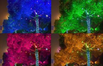 Подсветка деревьев в парке светодиодными RGB прожекторами типа СДУ-70RGB со встроенным slave-контролером. Контроллер позволяет менять во времени цвет свечения прожектора и фиксировать оттенки Дополнительно стволы деревьев украшены светодиодным клип-лайтом. Подсветка деревьев в парке