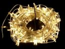 Клип-лайт светодиодный LED-LP-100M-12V-WW