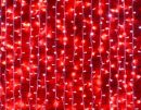 Плей-лайт светодиодный LED-SKC-2M/6M-220V-R
