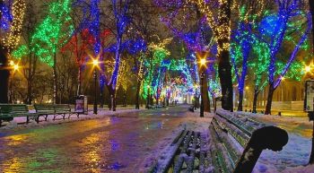 Новогоднее световое оформление парка светодиодными LED гирляндами. Подсветка деревьев LED гирляндами и клип-лайтом. Новогоднее световое оформление парка